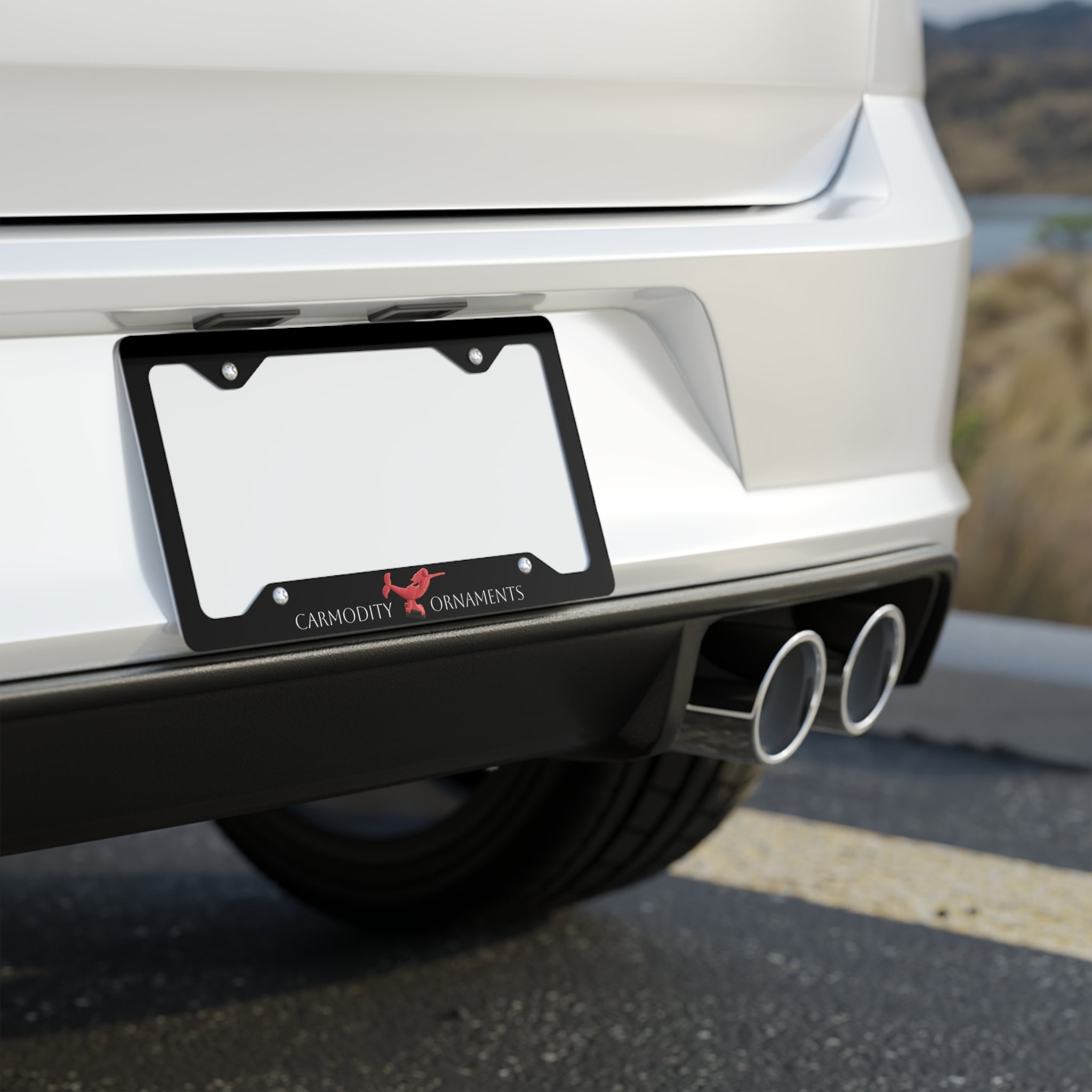 Sleek Stainless Steel Car Tag Frame