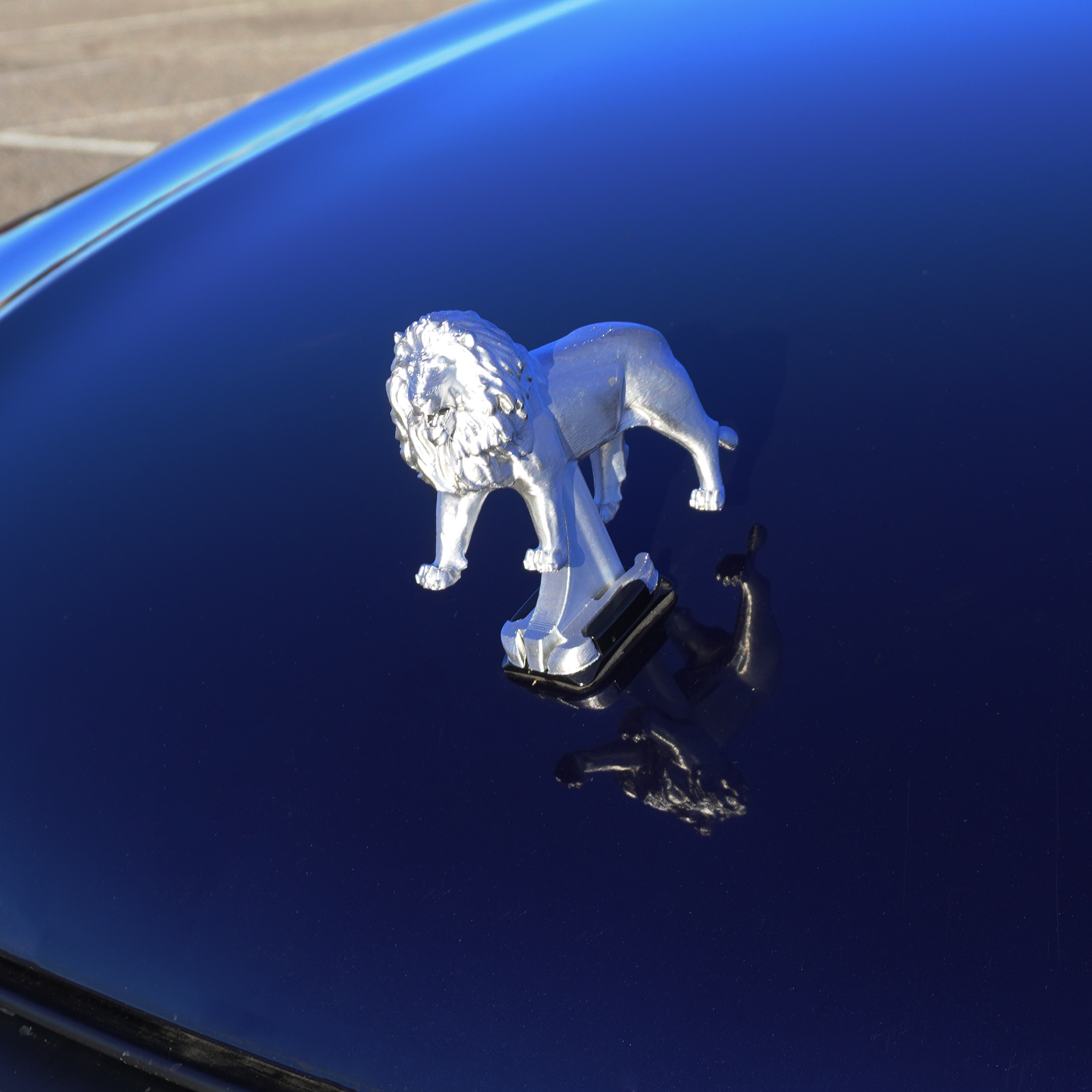 Chrome Monarch Lion
