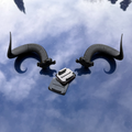 Ram Horns