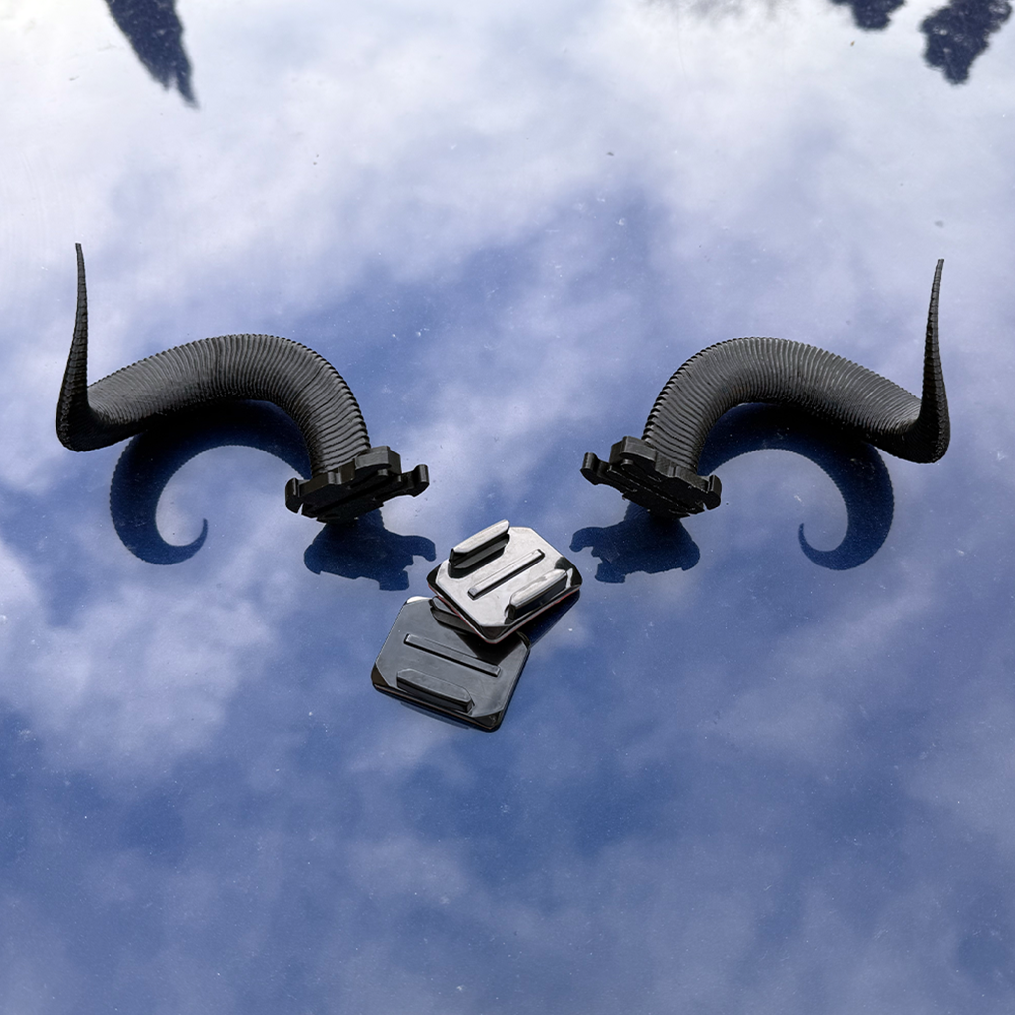 Ram Horns