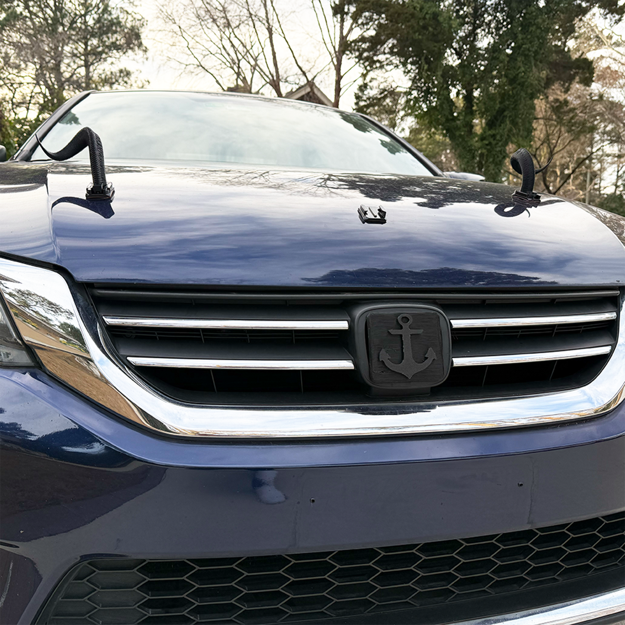 Ram Horns