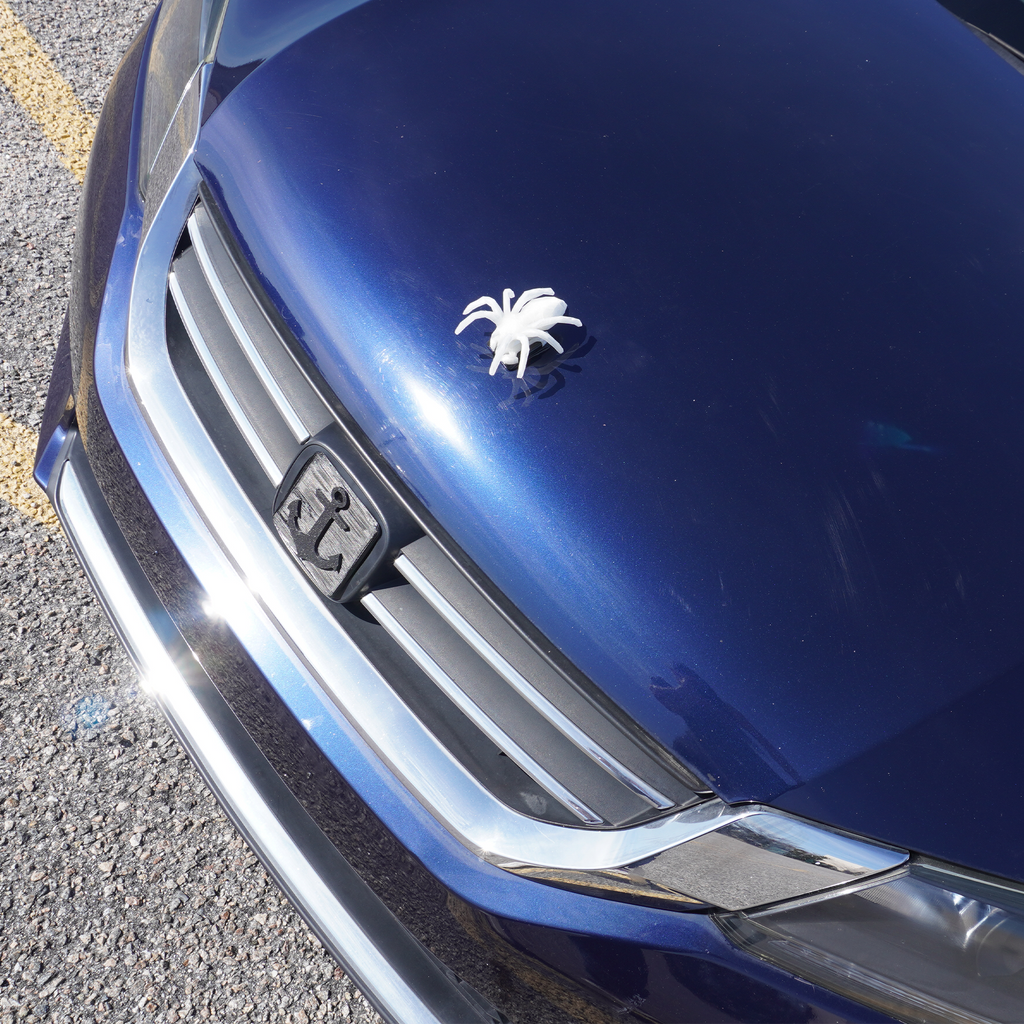 Translucent Spider Ornament
